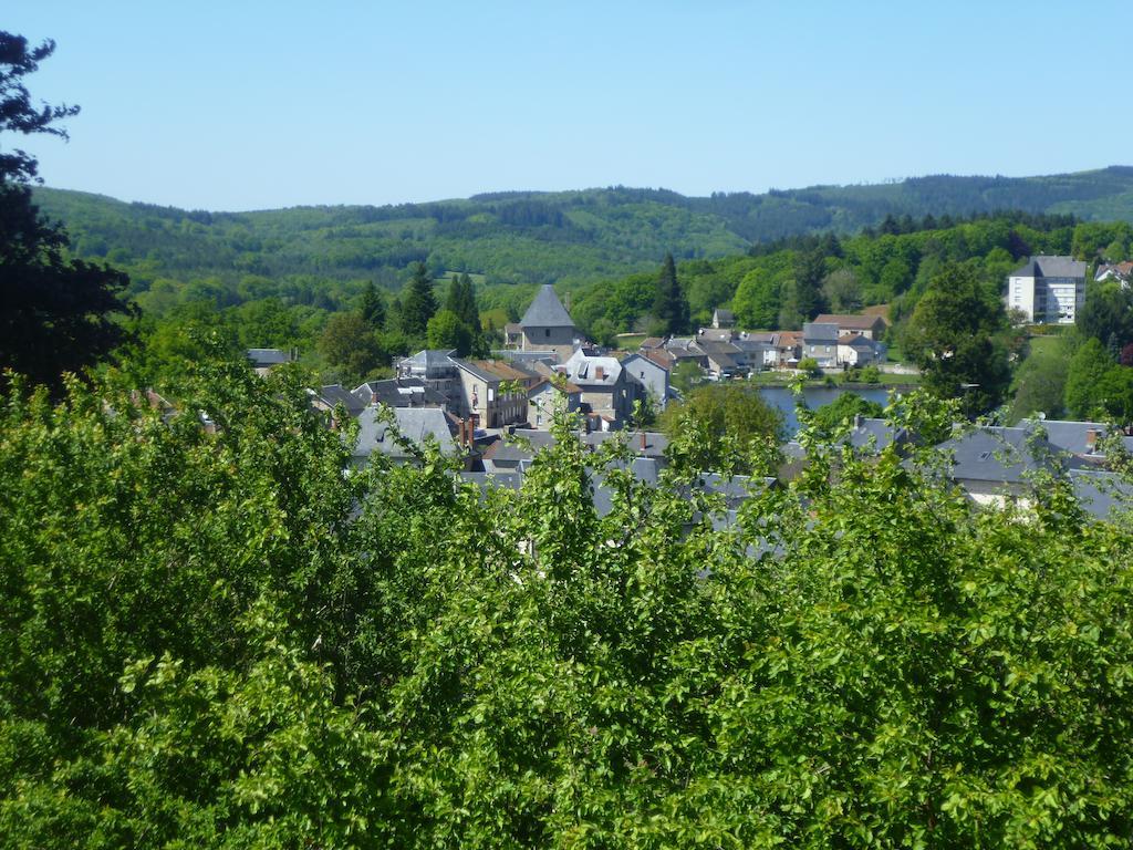 La Maison Du Marchand Peyrat-le-Château 部屋 写真